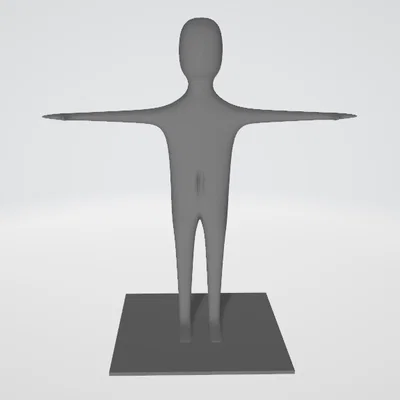 Mô Hình Người Đang T-pose