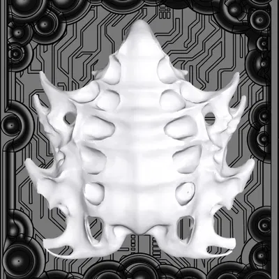 Kura Curiosa — Mẫu vật 020