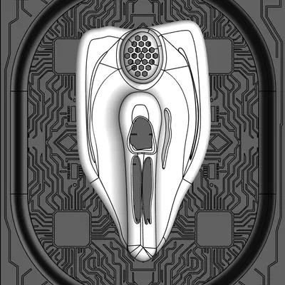 Kura Curiosa — Mẫu vật 019