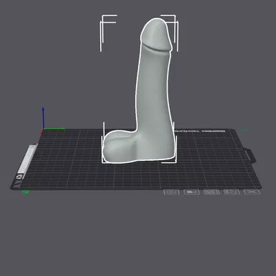 Dildo Thật - Mô Hình In 3D