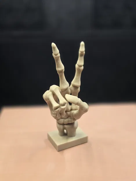 Mô Hình Bộ Xương Hòa Bình - "Skeleton Peace" - Image 1