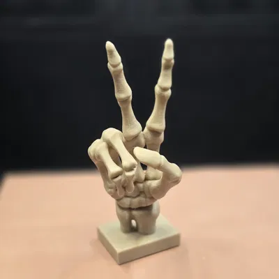 Mô Hình Bộ Xương Hòa Bình - "Skeleton Peace"