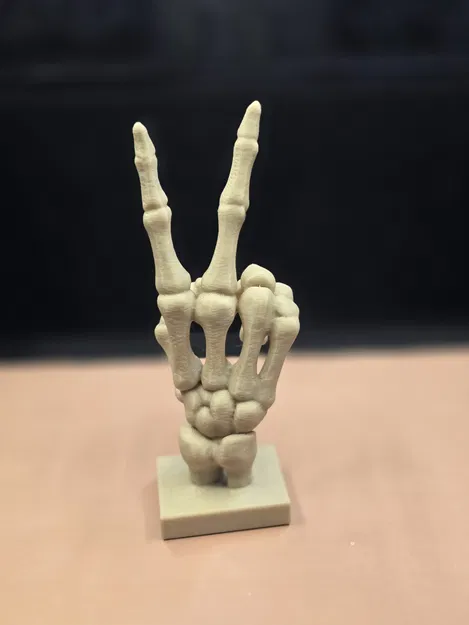 Mô Hình Bộ Xương Hòa Bình - "Skeleton Peace" - Image 2