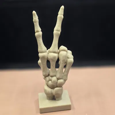 Mô Hình Bộ Xương Hòa Bình - "Skeleton Peace"
