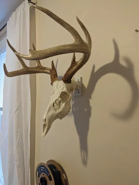 Giá Treo Đầu Lâu Nai - Image 4