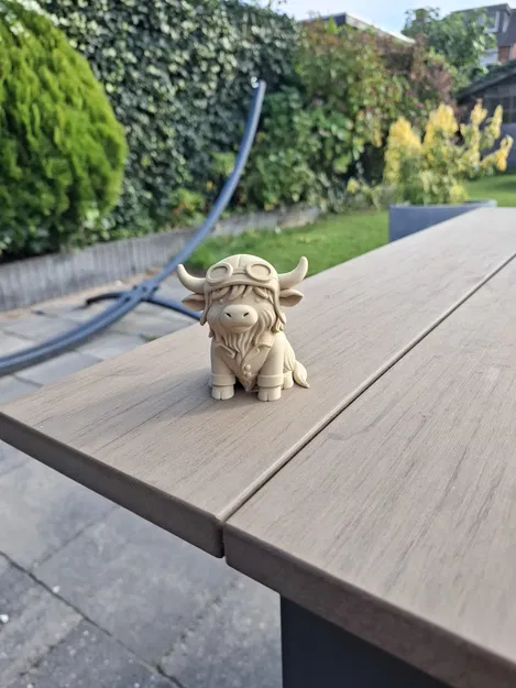 Bò Cao Nguyên Phi Công – Bầu Trời Là Của Tôi! - Image 5