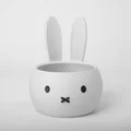Chậu Cây Phong Cách Miffy Dễ Thương - Thumbnail 2