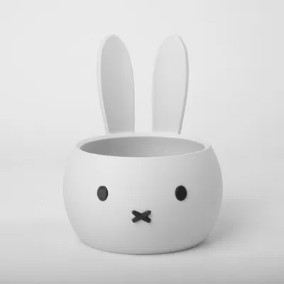 Chậu Cây Phong Cách Miffy Dễ Thương