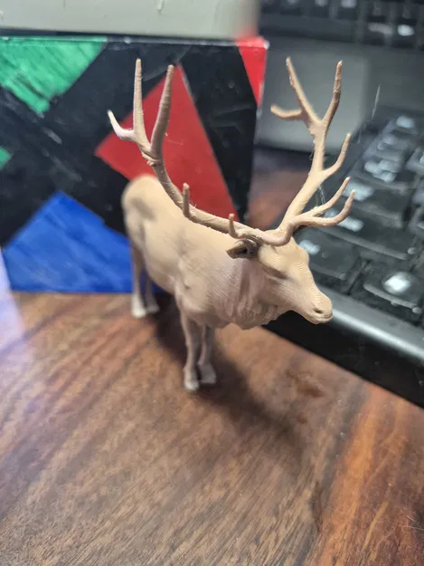 Nai Sừng Tấm - Image 1