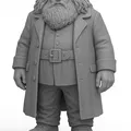 Rubeus Hagrid - Harry Potter - Thumbnail 1