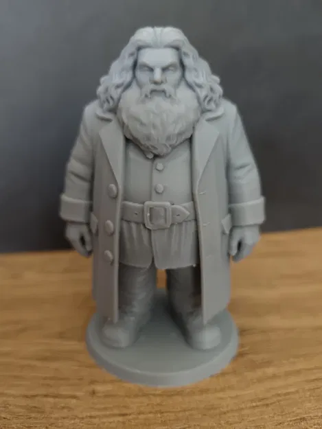 Rubeus Hagrid - Harry Potter - Image 2