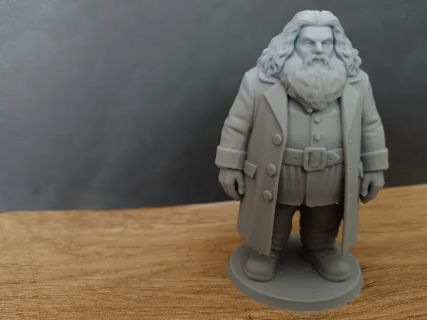 Rubeus Hagrid - Harry Potter - Image 3