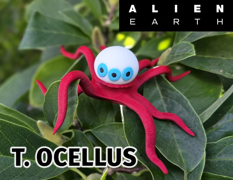 T. Ocellus - Trái Đất Alien - Image 2