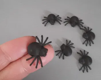 Nhện cho Halloween (không cần hỗ trợ) - Image 2