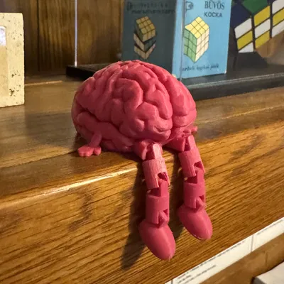 Bộ Não Có Khớp Nối Thân Thiện