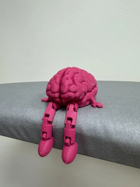 Bộ Não Có Khớp Nối Thân Thiện - Image 2