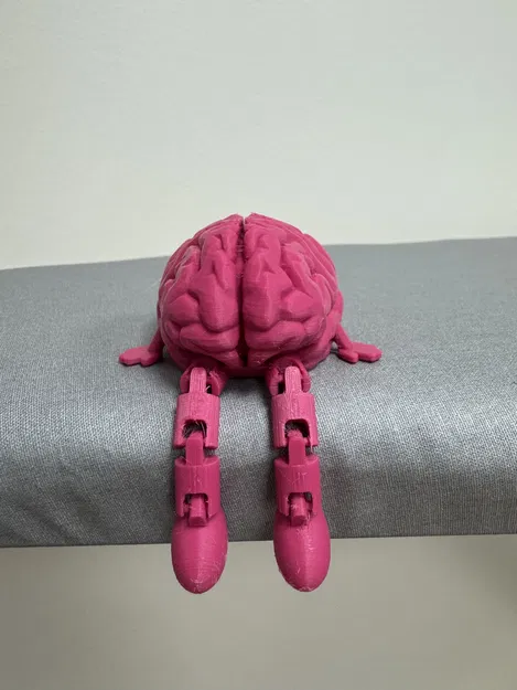 Bộ Não Có Khớp Nối Thân Thiện - Image 3