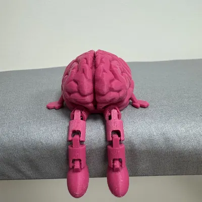 Bộ Não Có Khớp Nối Thân Thiện