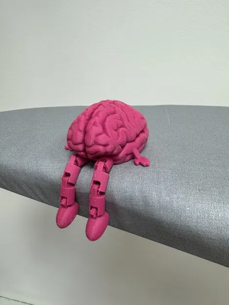Bộ Não Có Khớp Nối Thân Thiện - Image 4