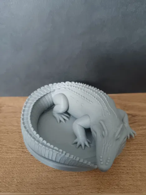 Mô hình Cá Sấu / Cá Sấu - Image 2