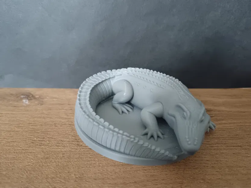 Mô hình Cá Sấu / Cá Sấu - Image 3