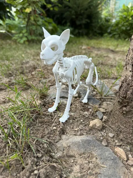 Mô hình Bộ xương Chó chi tiết - Image 3