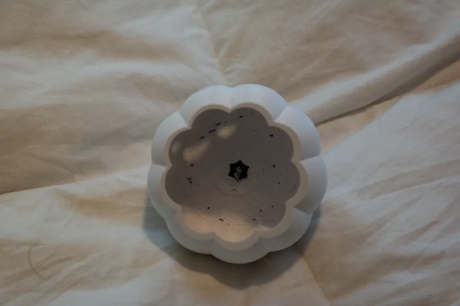 Trái Bí Ngô/Jack O'Lantern Hài Hước Nhất Halloween - Image 5