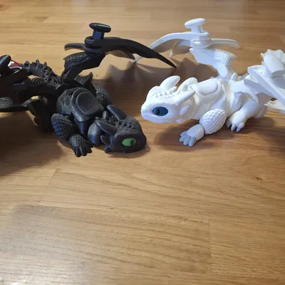 Toothless' girlfriend - Rồng trắng