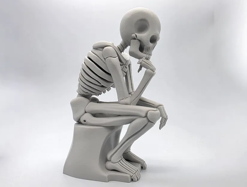 Tượng Bộ Xương Đang Suy Tư - Image 3