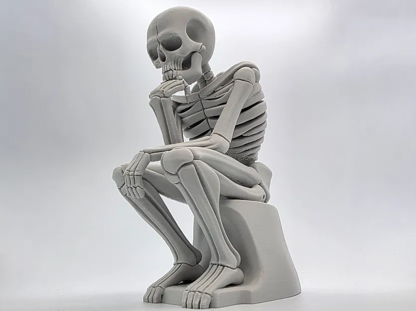 Tượng Bộ Xương Đang Suy Tư - Image 4