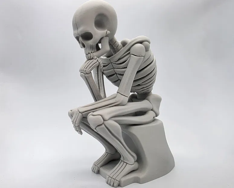 Tượng Bộ Xương Đang Suy Tư - Image 6