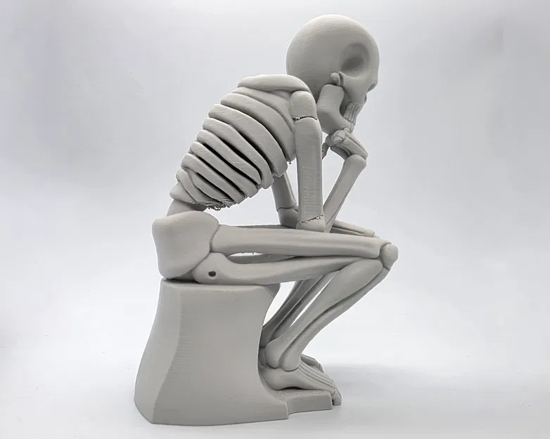 Tượng Bộ Xương Đang Suy Tư - Image 8