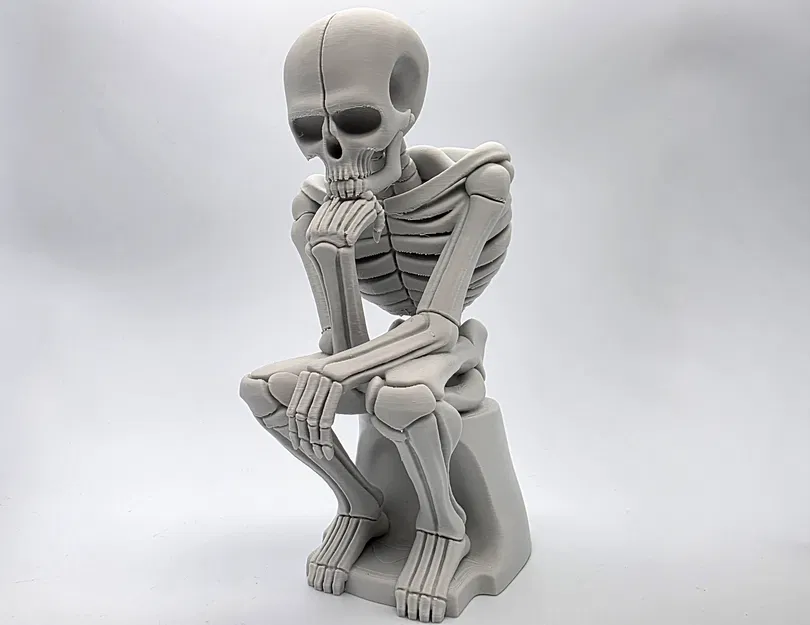 Tượng Bộ Xương Đang Suy Tư - Image 10