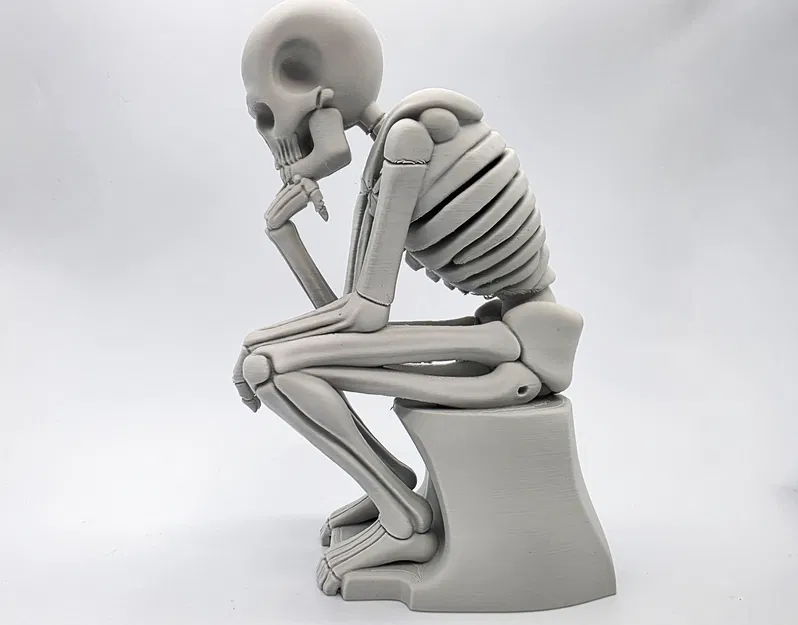 Tượng Bộ Xương Đang Suy Tư - Image 11