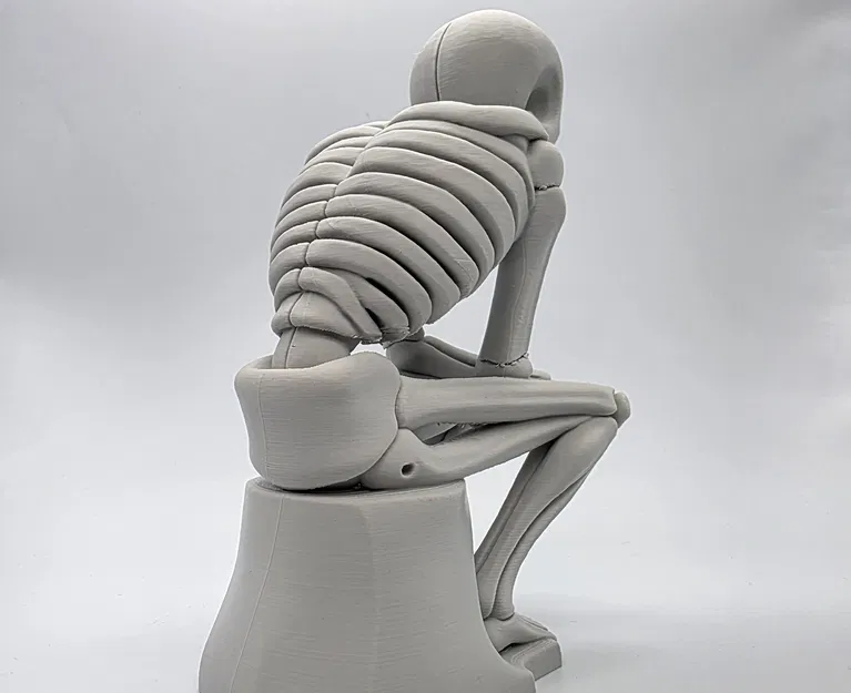 Tượng Bộ Xương Đang Suy Tư - Image 12