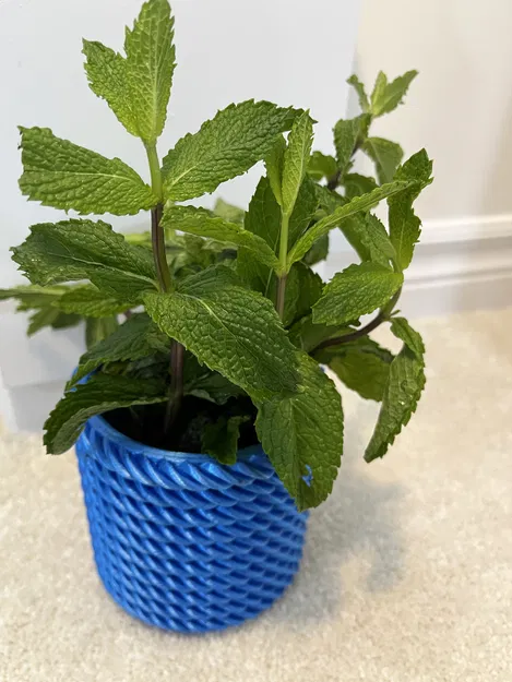 Chậu Cây "Planter" - Image 1