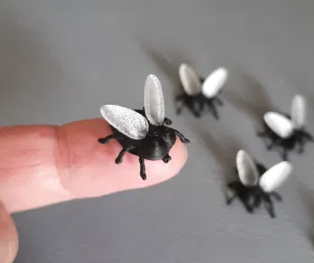 Ruồi cho Halloween (không cần hỗ trợ) - Image 1