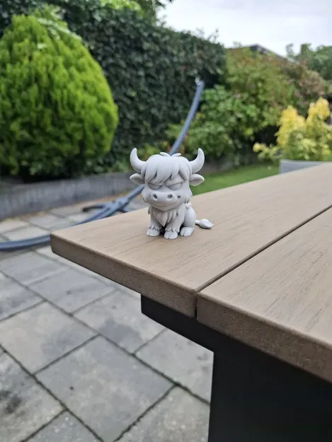 Bò Cao Nguyên Mặt Khó Tính - Image 4