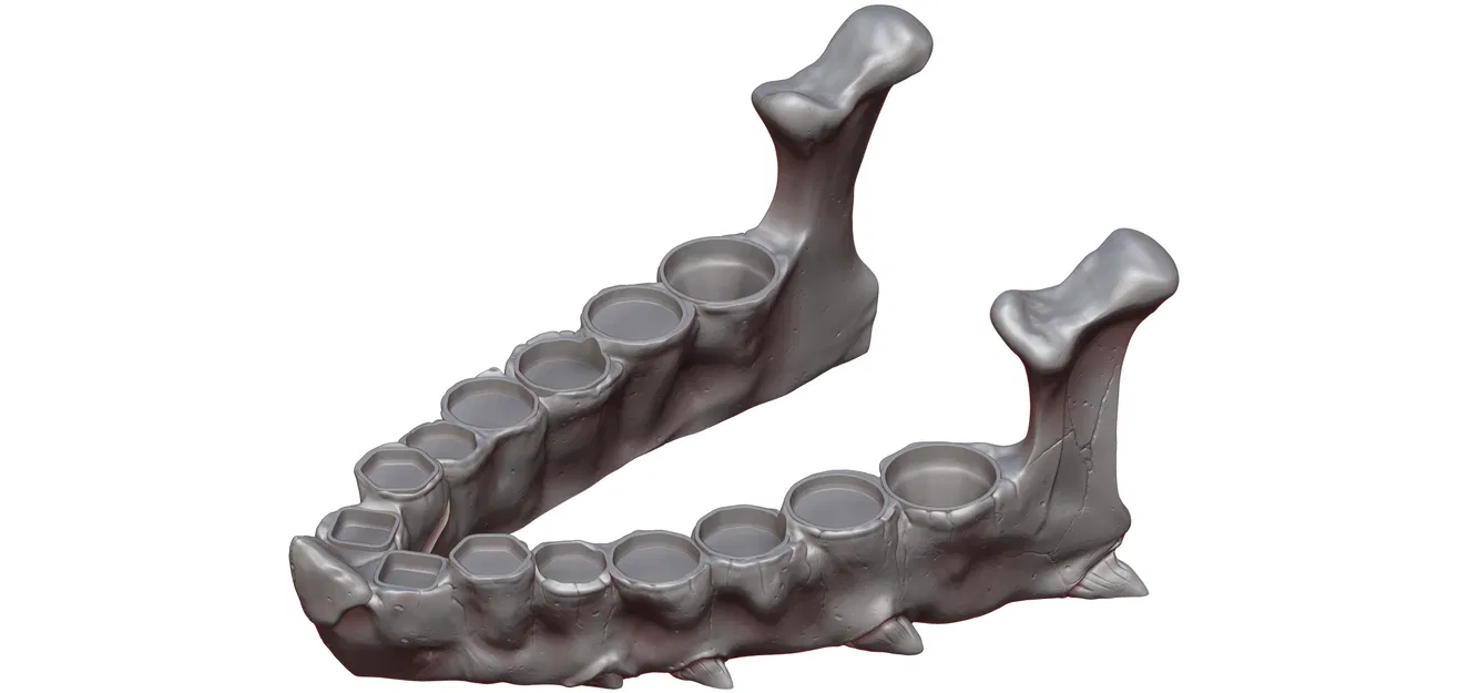 Bộ Xúc Xắc Răng Rồng - Image 8