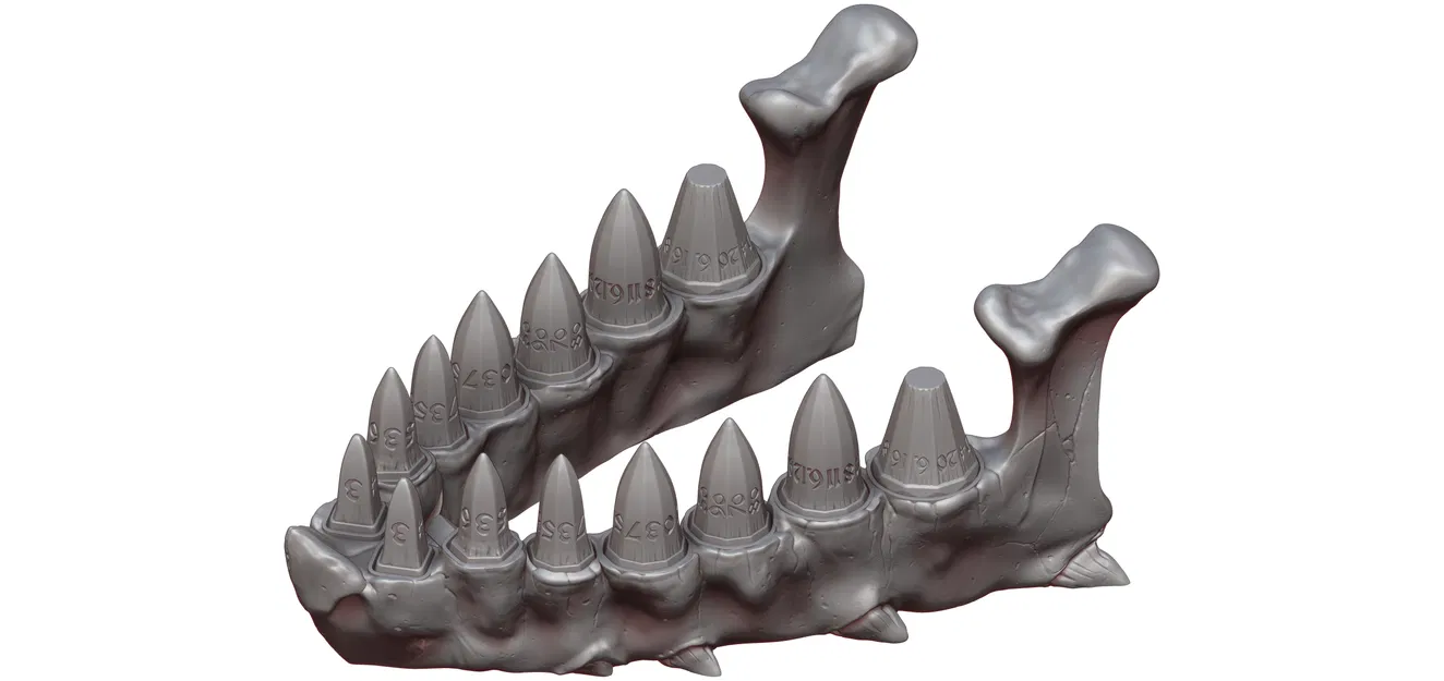 Bộ Xúc Xắc Răng Rồng - Image 9