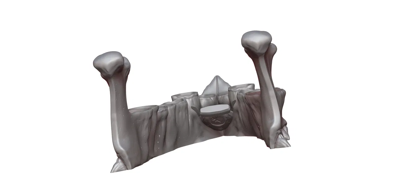 Bộ Xúc Xắc Răng Rồng - Image 11