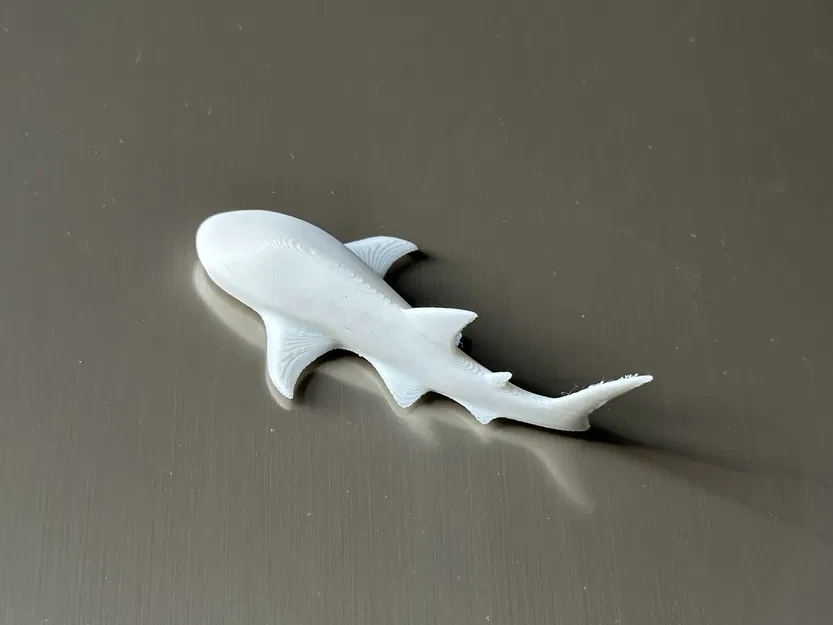 Nam Châm Tủ Lạnh Hình Cá Mập Voi (Không Cần Hỗ Trợ) - Image 5