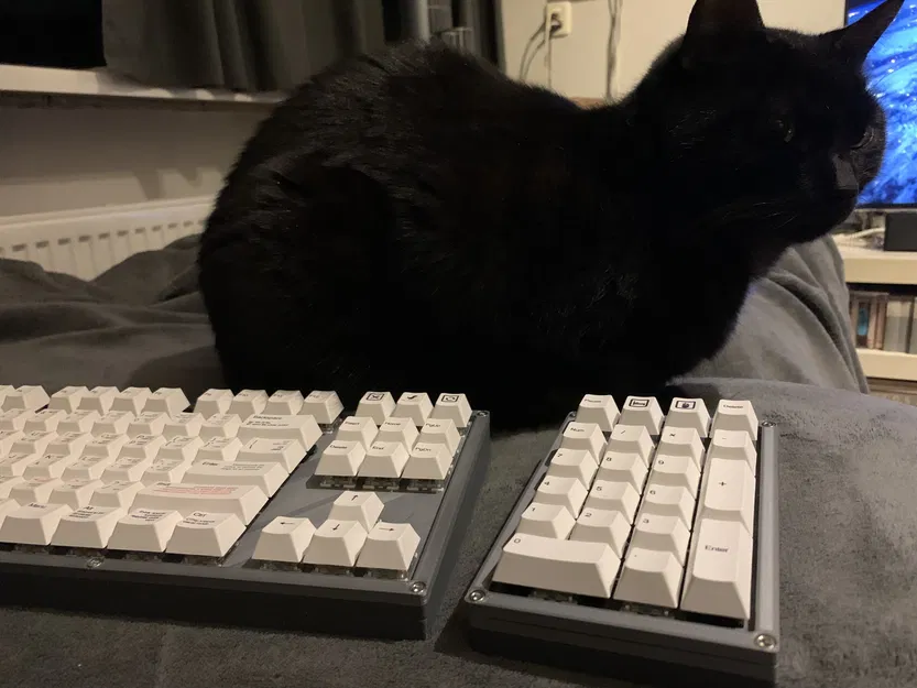 Bản thử nghiệm: Bàn phím cơ HOT SWAP TKL in 3D - Image 13