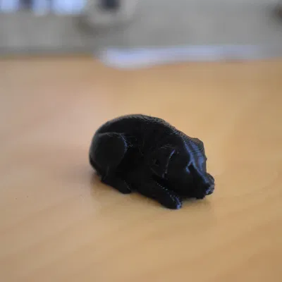 Mô hình Chó Labrador Đang Ngủ