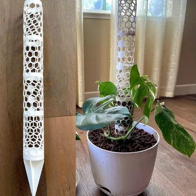 Trụ Moss Cho Monstera