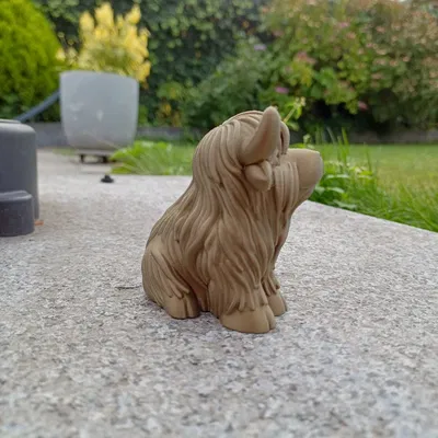 Bò Cao Nguyên Mập Ú – Cưng Xỉu Sừng To