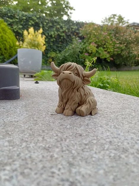 Bò Cao Nguyên Mập Ú – Cưng Xỉu Sừng To - Image 3