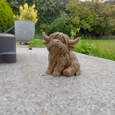 Bò Cao Nguyên Mập Ú – Cưng Xỉu Sừng To