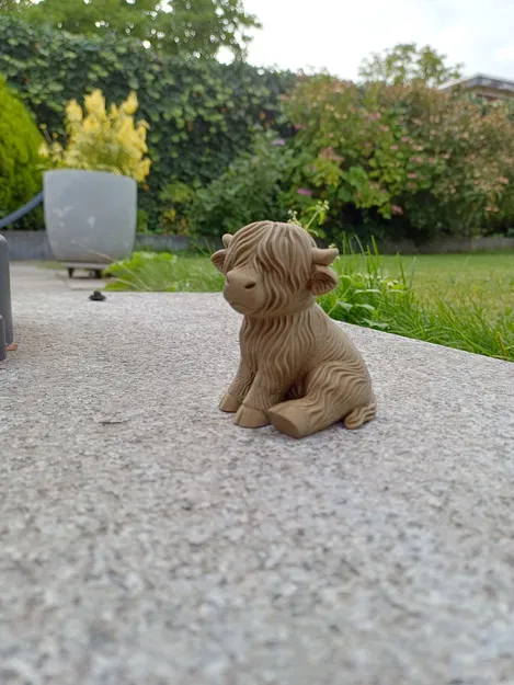 Bê Bò Cao Nguyên Dễ Thương - Image 2