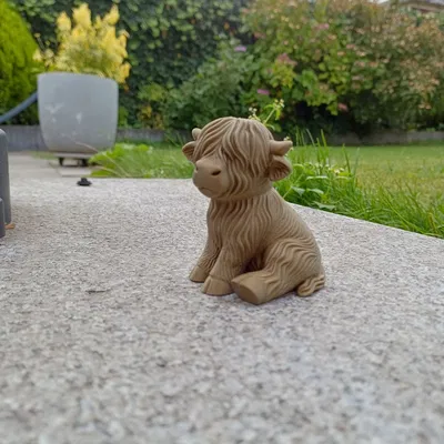 Bê Bò Cao Nguyên Dễ Thương